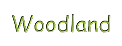 woodland banner